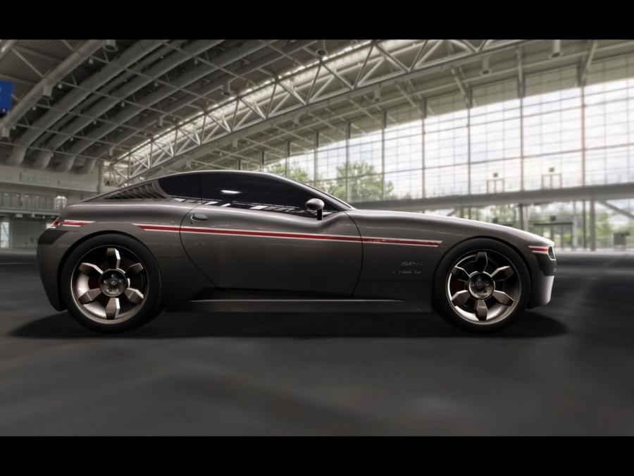  Volkswagen SP2 Marcello Rosa 2008 года  (фото 3 из 24)